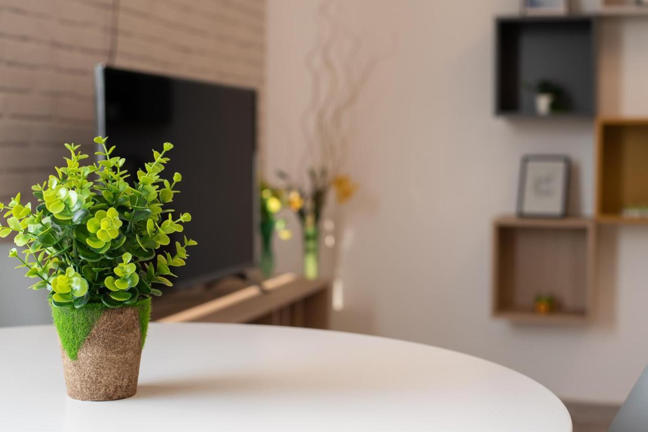 Art Apartment Marosvásárhely Kültér fotó